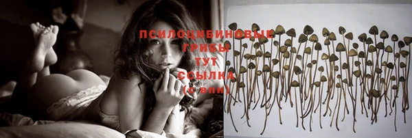 МДПВ Абаза