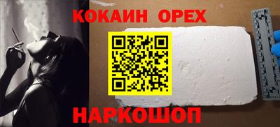 мет Кингисепп