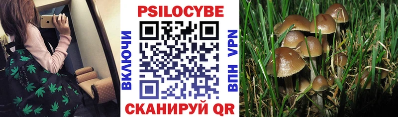 где купить наркотик  Красноармейск  Галлюциногенные грибы мухоморы 