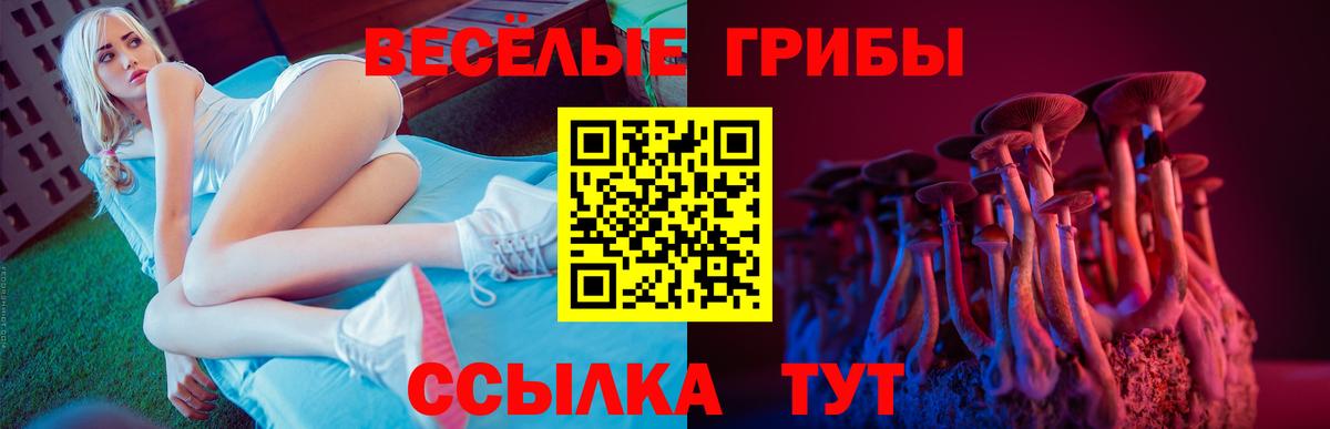 Псилоцибиновые грибы мухоморы  Вход с VPN  Красноармейск 
